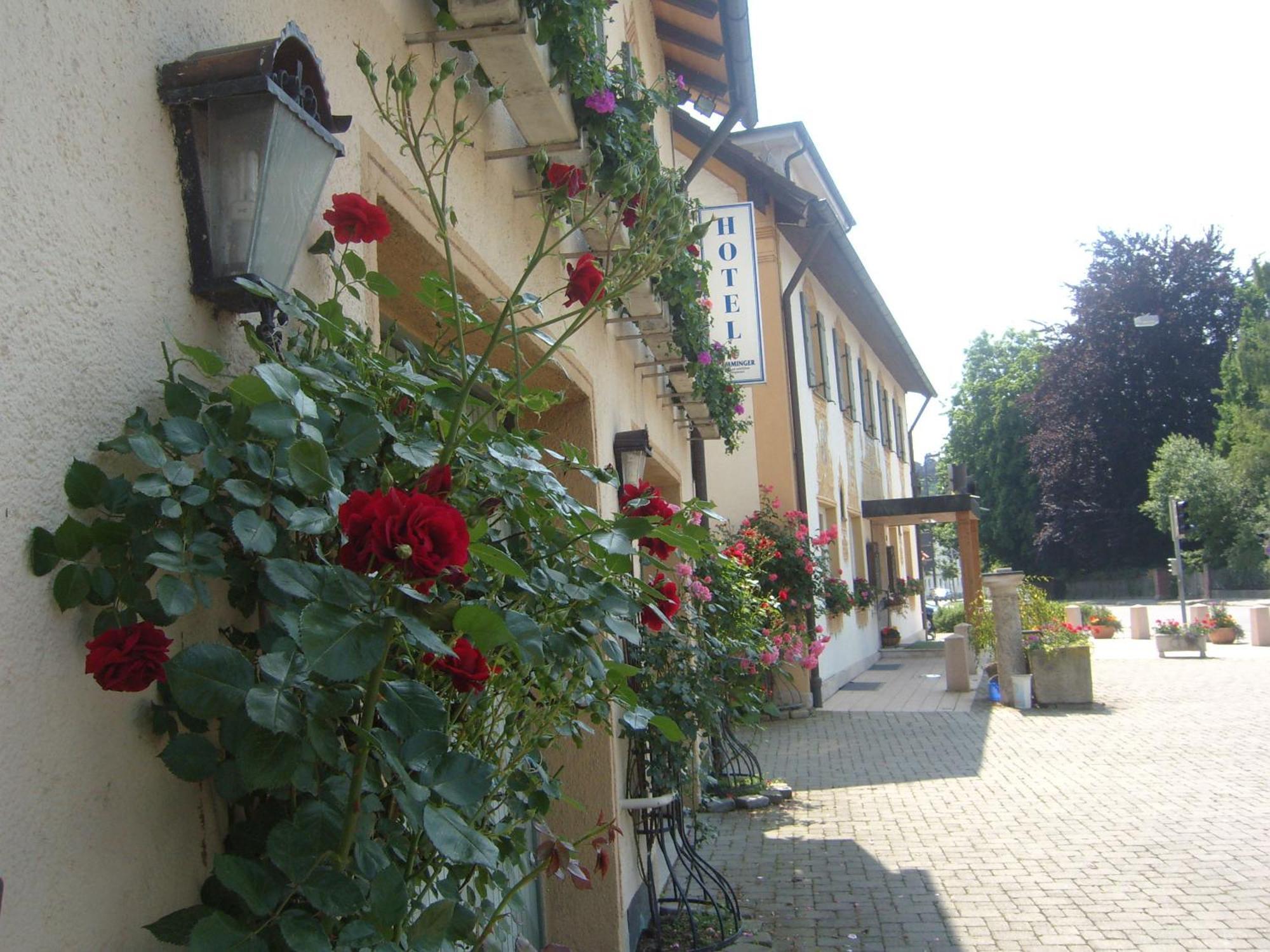 Hotel Gasthof Stern Mindelheim Buitenkant foto